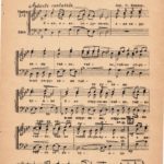 Cherubic Hymn (Koshetz)