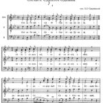 Sadowsky compositions